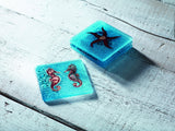 Glass Coasters by Jo Downs (Boat, Starfish, Dolphin, Fish, Seahorse), glassware - simple to stunning